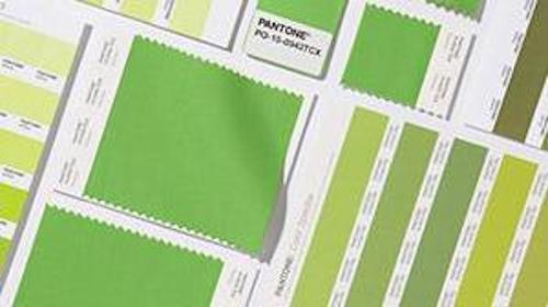Greenery - the 2017 Pantone Color of the Year