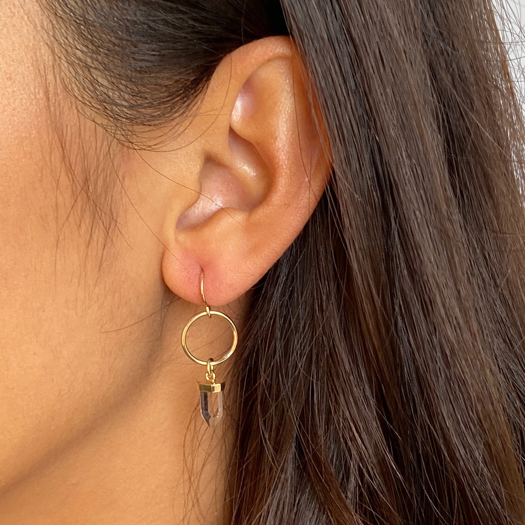 Crystal Hopp Earrings